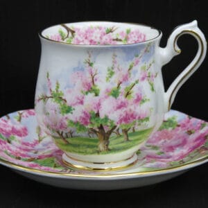 Blossom-time-dames-kop-en-schotel