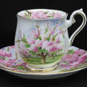 Blossom-time-dames-kop-en-schotel