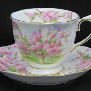 Blossom-time-heren-kop-en-schotel2