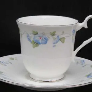 Royal-albert-for-all-seasons-morning-flower-heren-kop-en-schotel