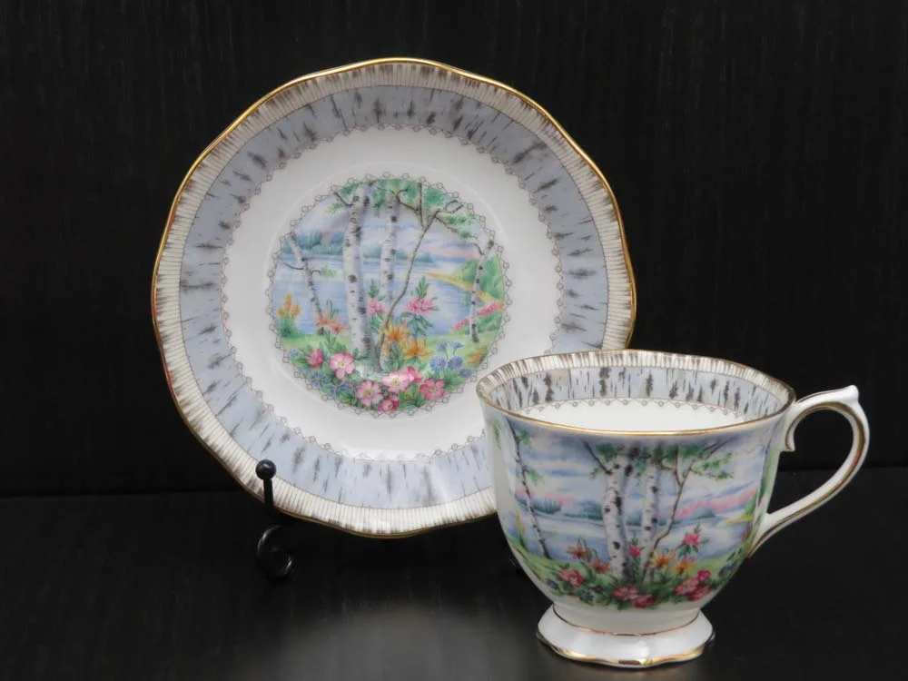 Royal-albert-silver-birch-heren-kop-en-schotel-2