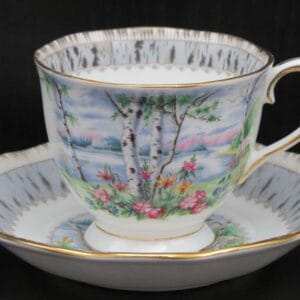 Royal-albert-silver-birch-heren-kop-en-schotel-2