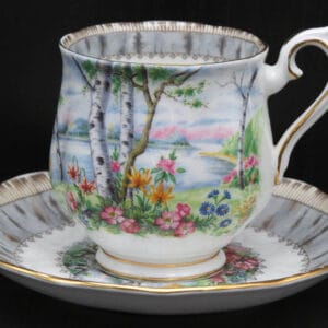 silver-birch-dames-kop-en-schotel