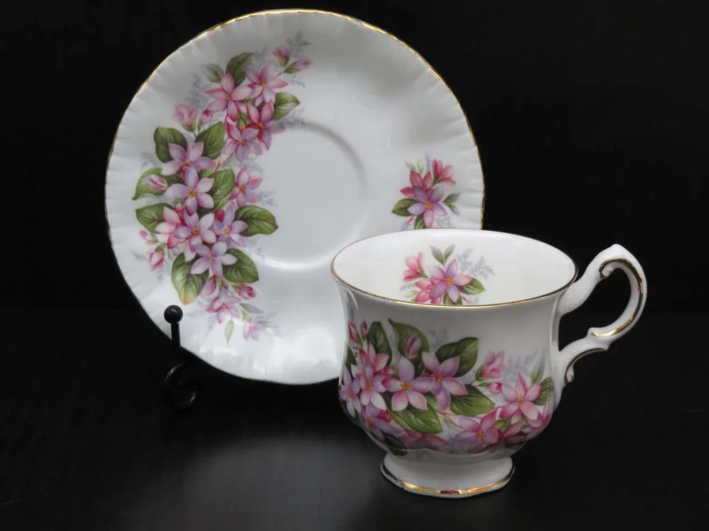 Paragon-Mayflower-dames-kop-en-schotel